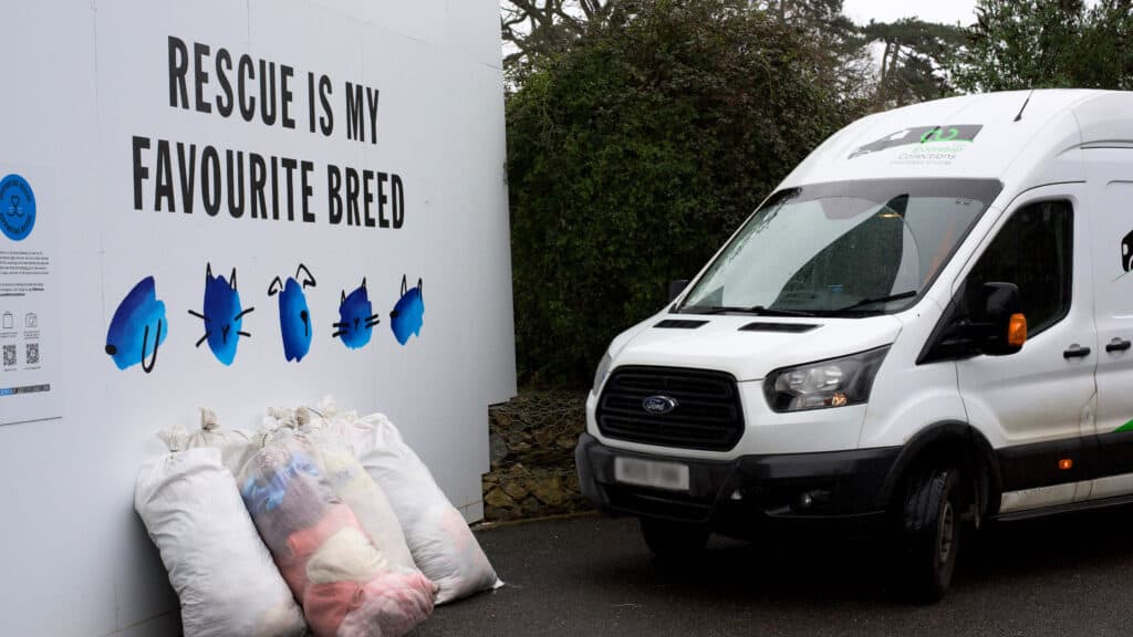 Towels, linen and blankets for Battersea Dogs and Cats home.